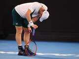 Sprookje Murray op Australian Open komt ten einde tegen Bautista Agut