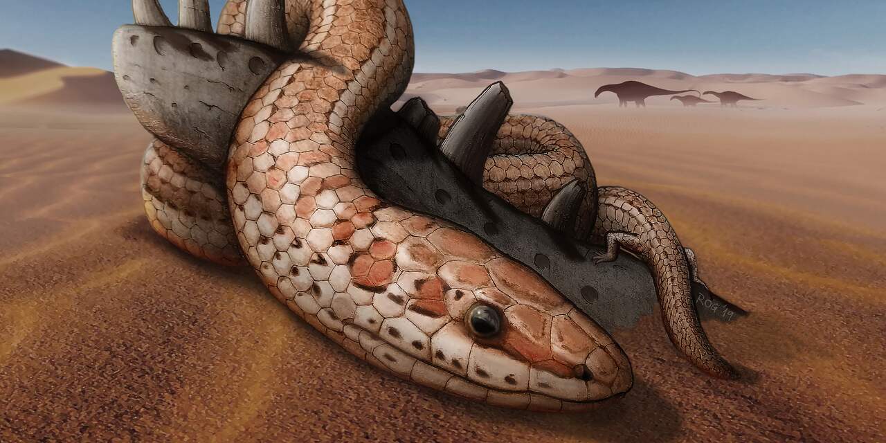Slangen liepen 70 miljoen jaar lang op poten