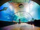 Musea, theaters en dierentuinen al deze maand toegankelijk via sneltest