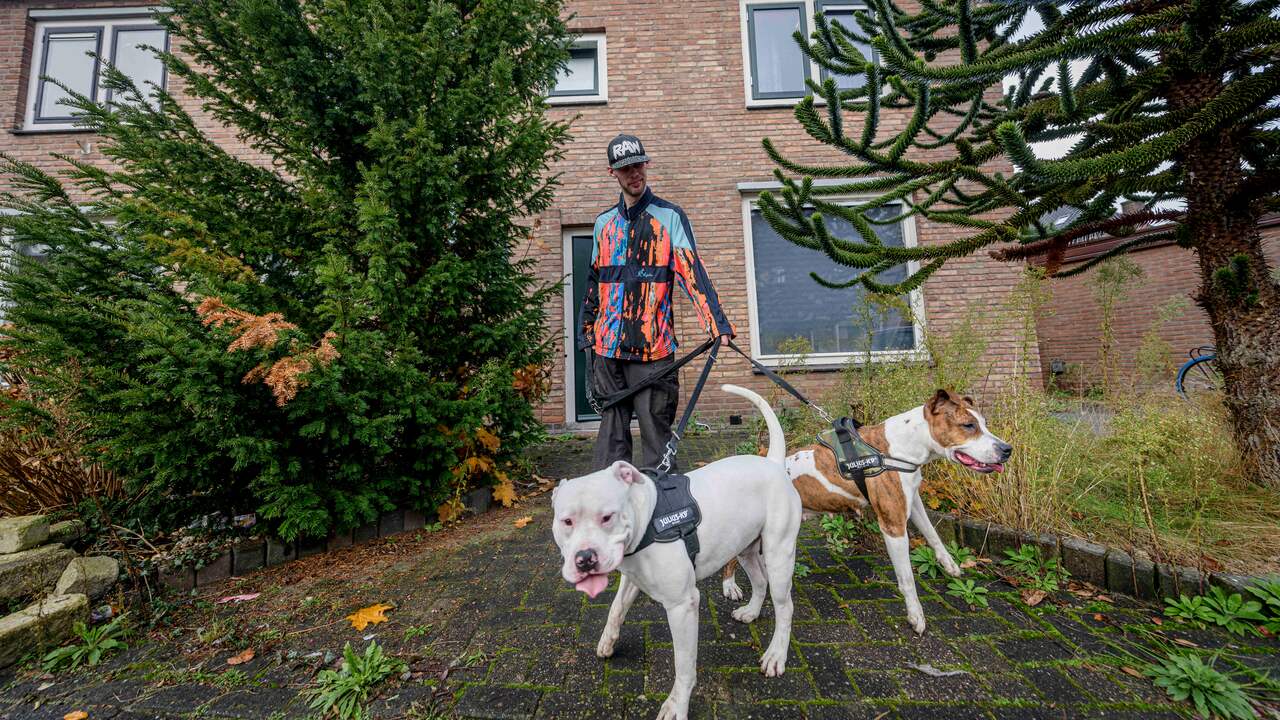 Louis maakt vrijwel dagelijks verre wandelingen met zijn honden.