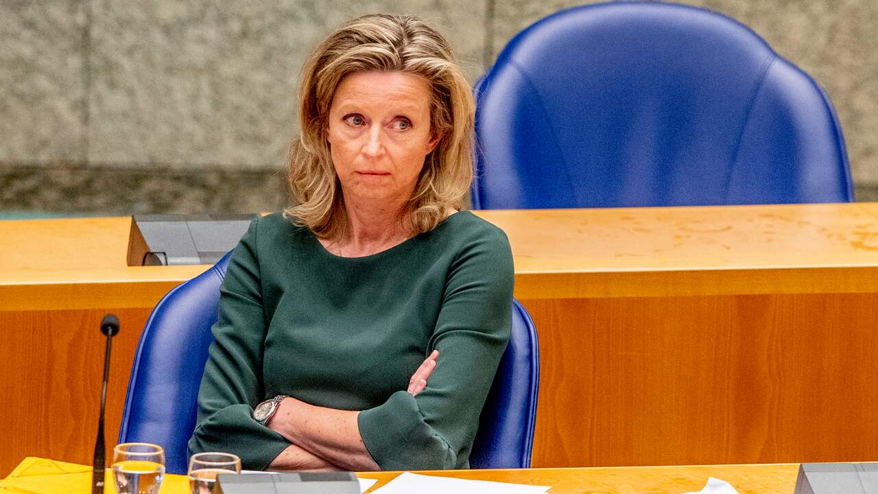 Minister Kajsa Ollongren heeft een voorstel om de gereguleerde huren beter te beschermen. 
