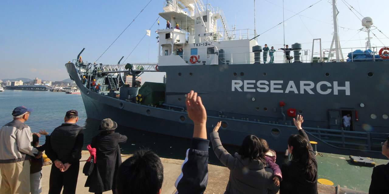 Japan start na 31 jaar weer met commerciële walvisjacht