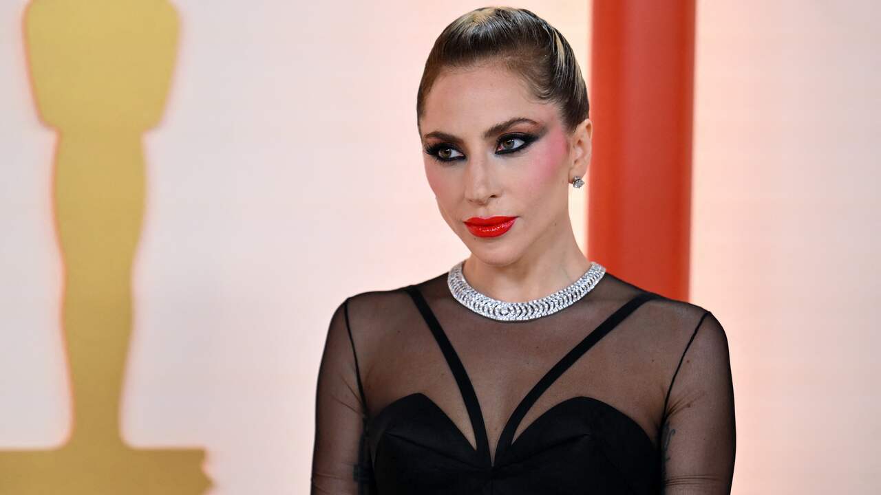 Lady Gaga Seeks Dismissal of Lawsuit Over Stolen Dogs Finder’s Fee