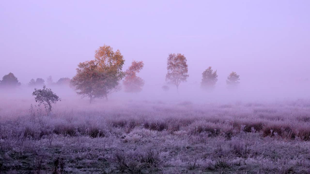 First local ice day of the autumn measured in Gelders Hupsel |  NOW