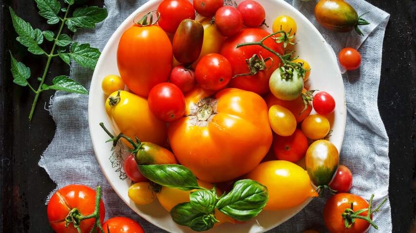 Tomatensoorten