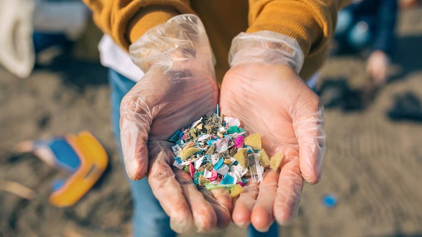 gesloten Afwijzen manipuleren Plastic vis eten? 'Je kunt niet aan microplastics ontsnappen' | Eten en  drinken | NU.nl
