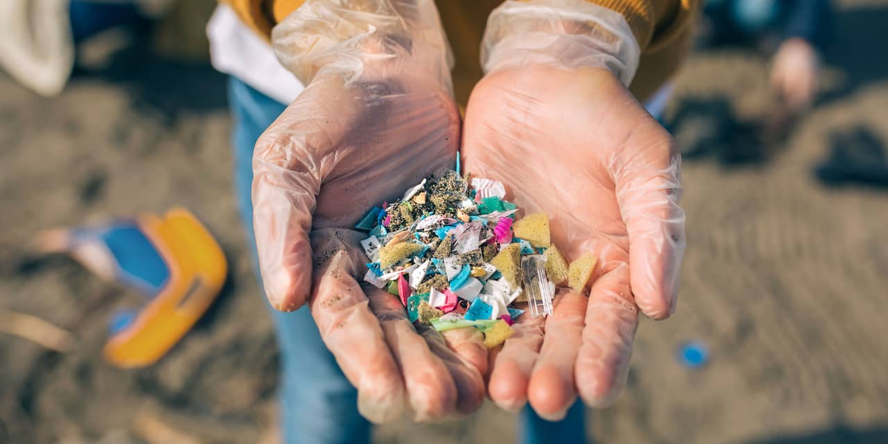 Plastic vis eten? 'Je kunt niet aan microplastics ontsnappen'