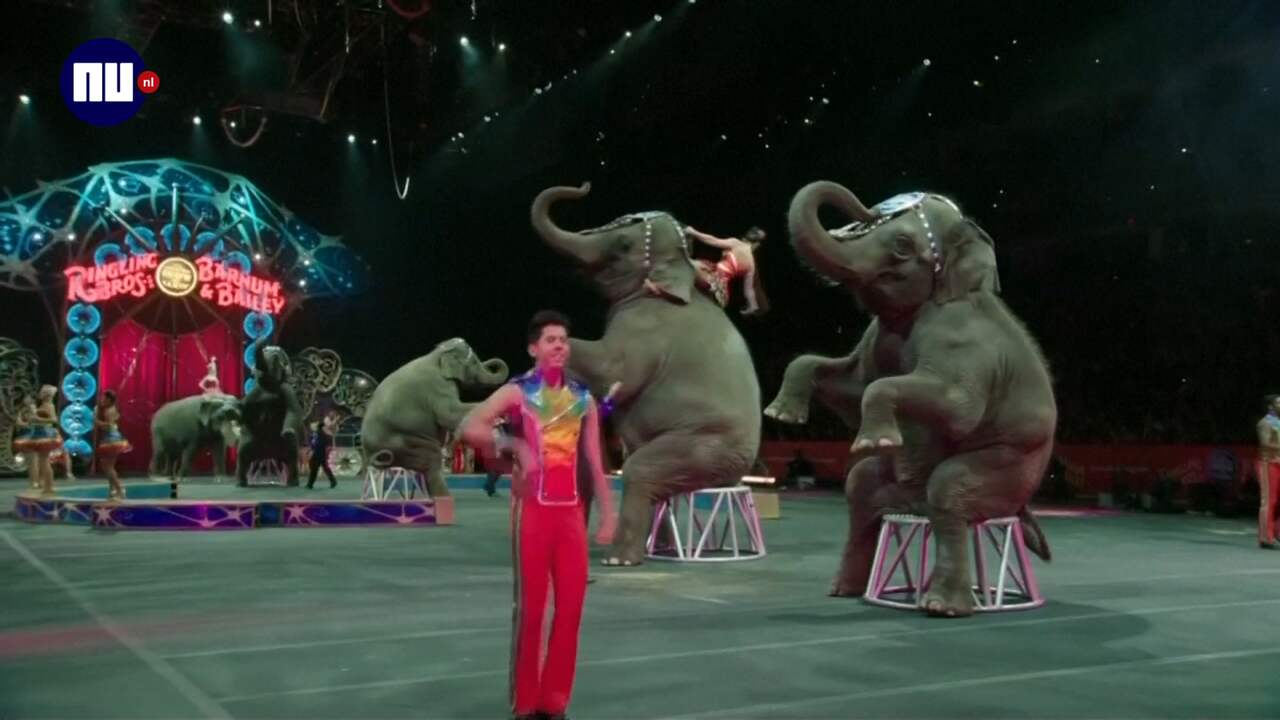 Beeld uit video: Amerikaans circus 'met droevigste olifantenshow' sluit na bijna 150 jaar