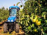 Boeren die schade lijden door droogte krijgen hulp van overheid