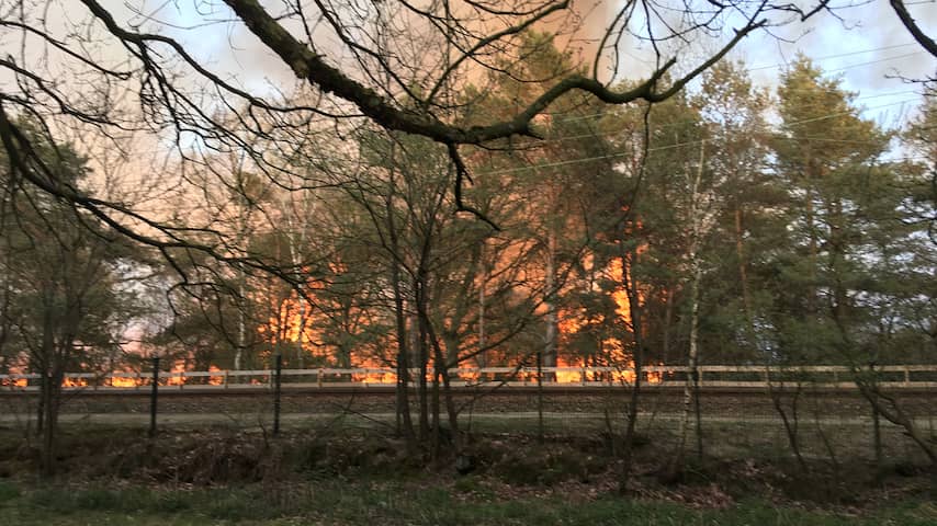Grote natuurbrand op Laapersheide bij Hilversum mogelijk aangestoken