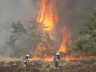 Natuurgebied van 150 hectare verloren gegaan door brand in Limburg