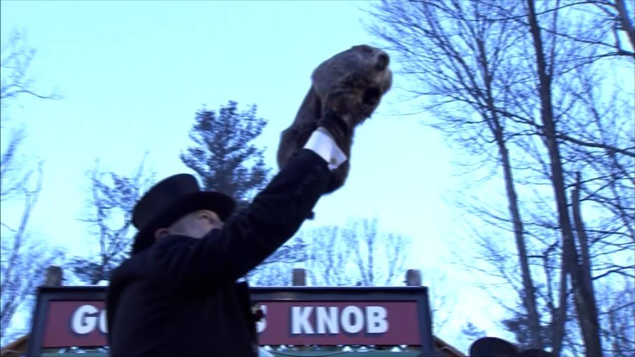 Beeld uit video: Bosmarmot 'Phil' voorspelt nog 6 weken winter op Groundhog Day