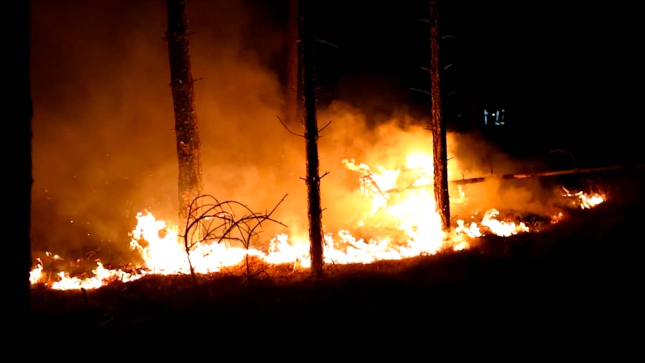 Beeld uit video: Brandweer blust natuurbrand in Brabantse Best