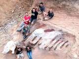 Skelet grootste dinosaurus van Europa opgegraven in Portugese achtertuin