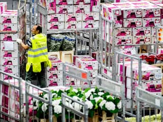 Nederlandse export van bloemen en planten groeit iets minder hard