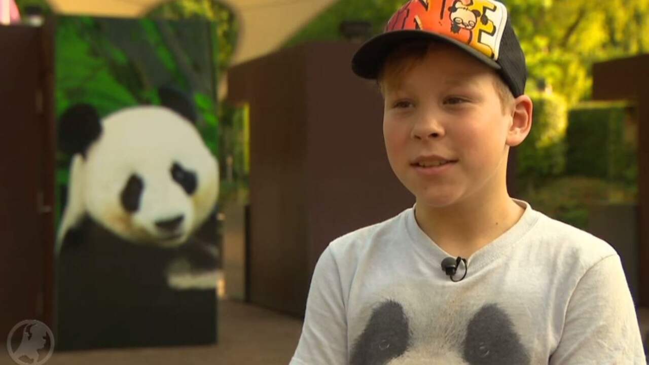 Beeld uit video: Megafan Vince (9) mag eindelijk op bezoek bij de reuzenpanda’s