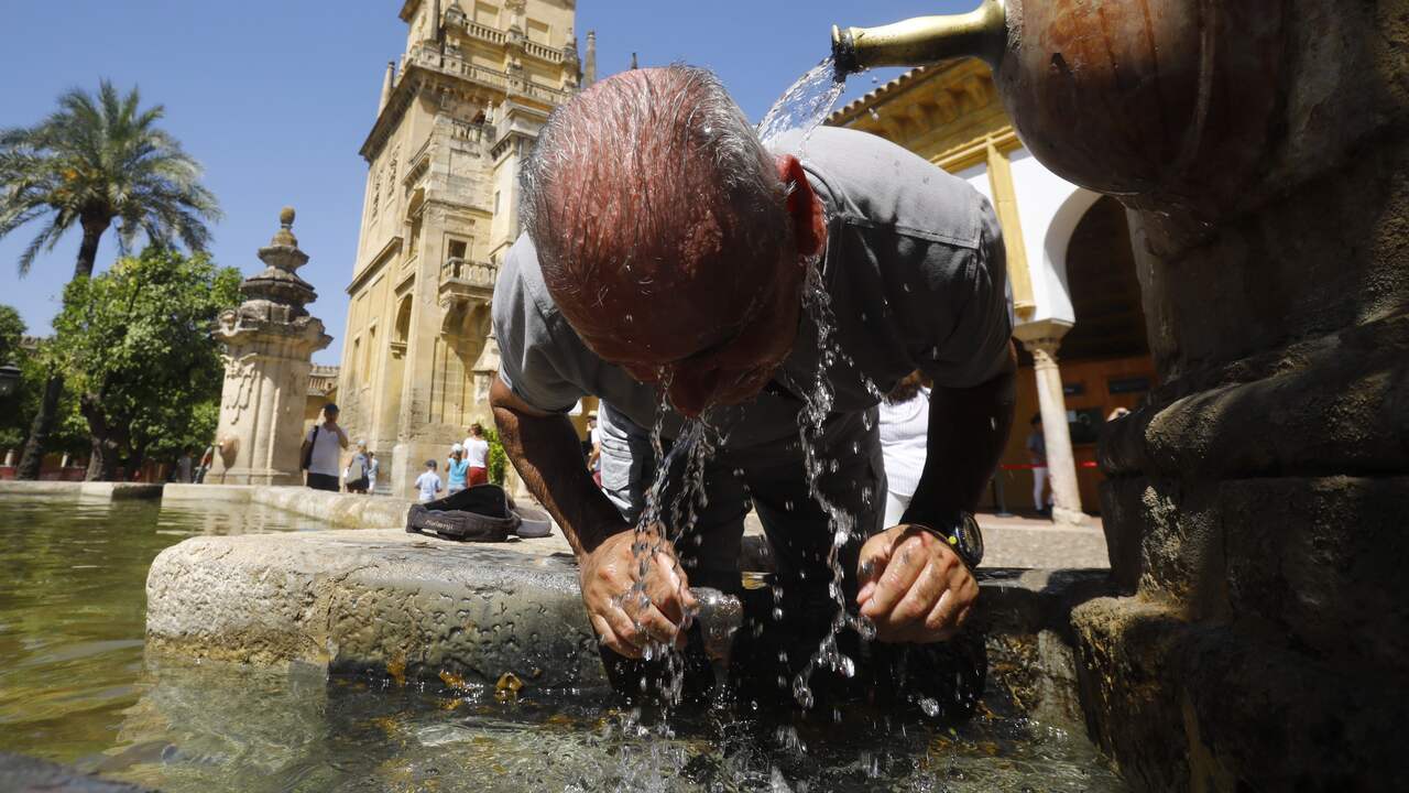 Nearly five thousand more deaths in Spain due to record heat and drought in 2022 |  Abroad