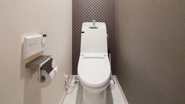 Japanse wc's hebben een bedieningspaneel dat makkelijk is te bereiken. Dit exemplaar heeft het fonteintje boven de spoelbak. Het water waarmee je de handen hebt gewassen, wordt gebruikt om door te spoelen.