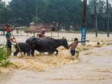 Rode Kruis vraagt om hulp bij zoektocht naar overstroomde gebieden Azië