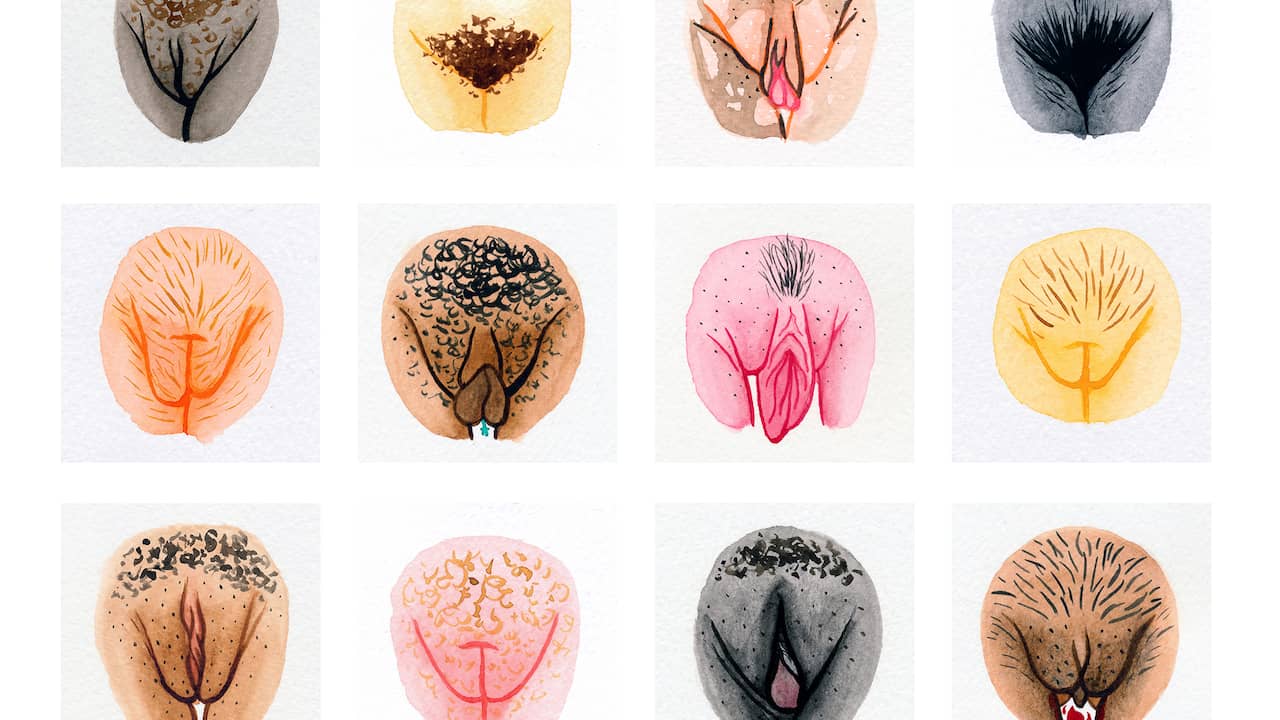 Deze vrouwen willen taboes rond de vulva wegnemen NUweekend NU.nl