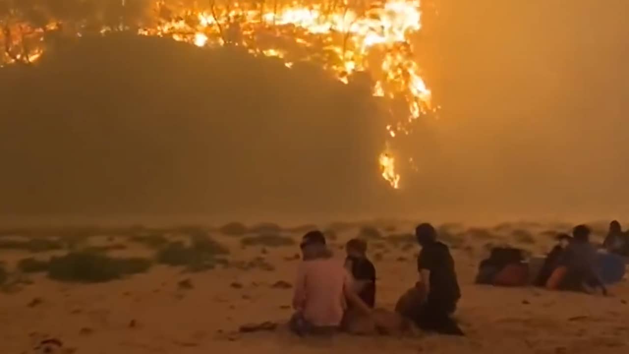 Australiërs en toeristen schuilen op strand voor bosbranden