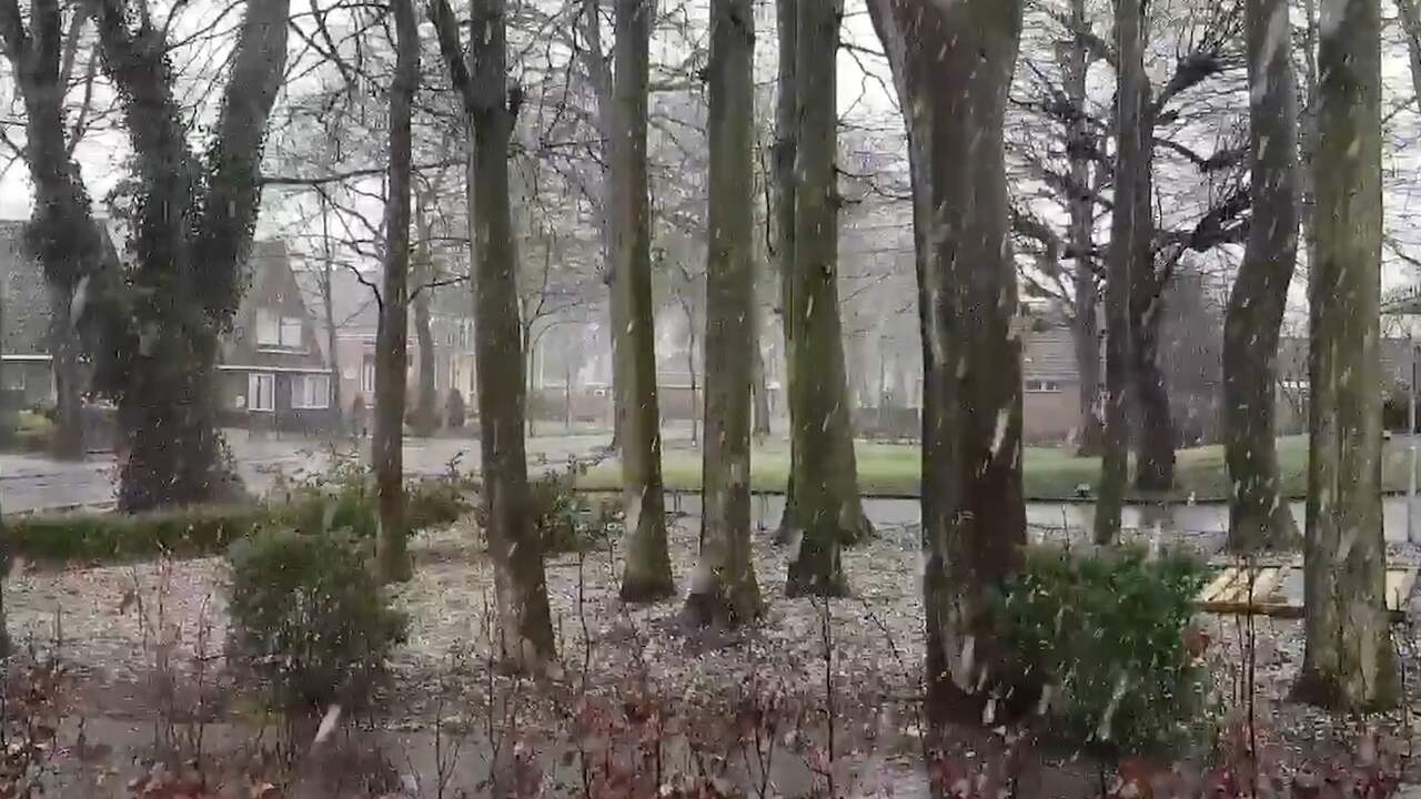 Beeld uit video: Storm in het zuiden en sneeuw in het noorden van Nederland