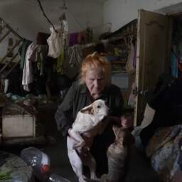 Video | Oekraïners waden door kletsnat Kherson na damdoorbraak