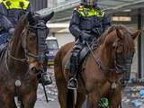11 maanden cel voor oproep op hol laten slaan politiepaarden