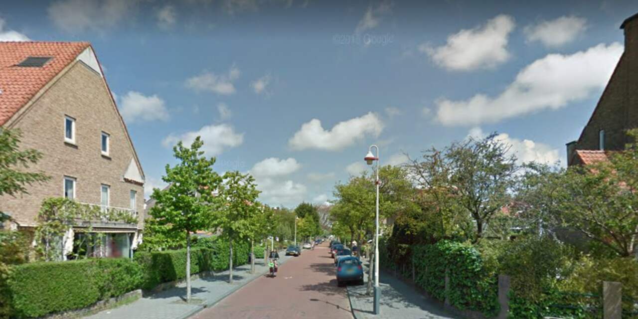 De Haagse Vogelwijk is uitgeroepen tot beste buurt van Zuid-Holland