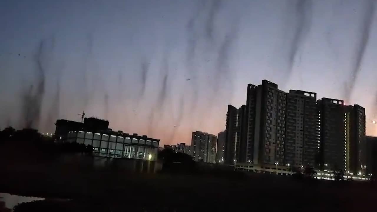 Beeld uit video: 'Tornado's van muggen' overspoelen stad in India