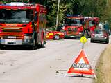 Zweeds gevechtstoestel botst met vogels en stort neer