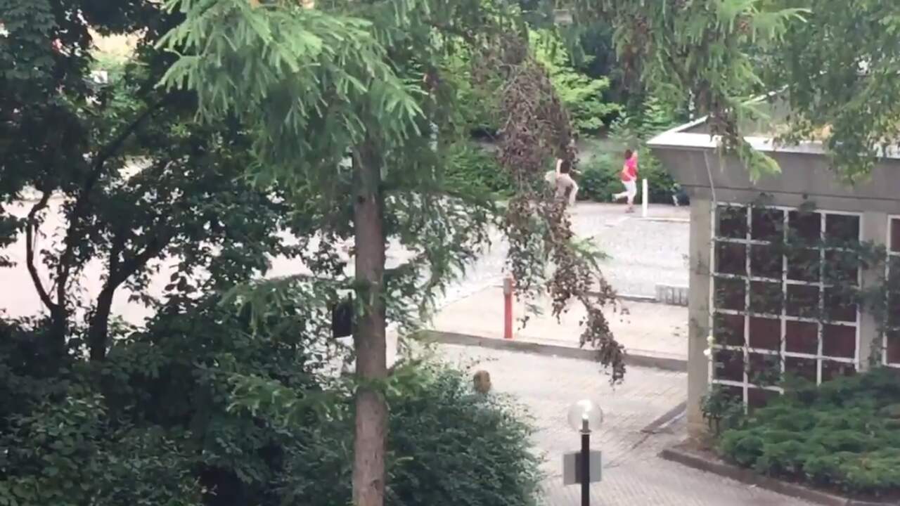 Mensen rennen weg van schietpartij winkelcentrum München