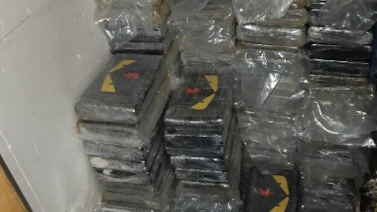 600 kilos of cocaine and almost 2 million euros found in Rotterdam homes |  NOW