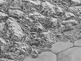 NASA geeft scherpste foto's Pluto vrij