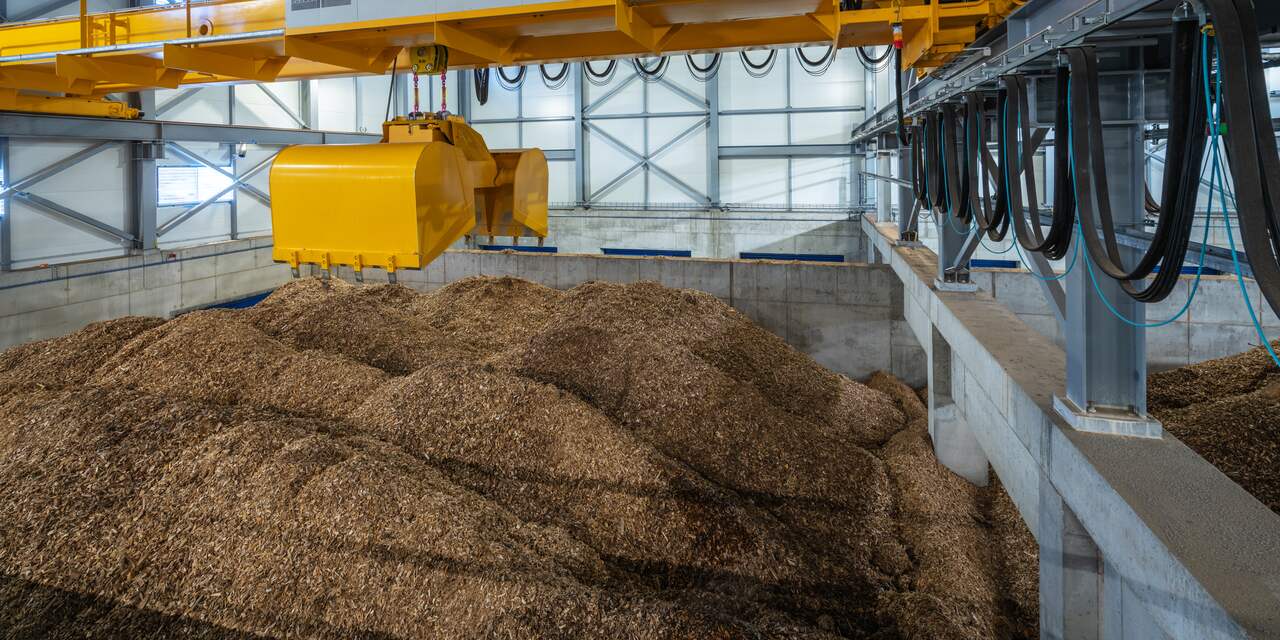 Kabinet zet mes in subsidies voor biomassa