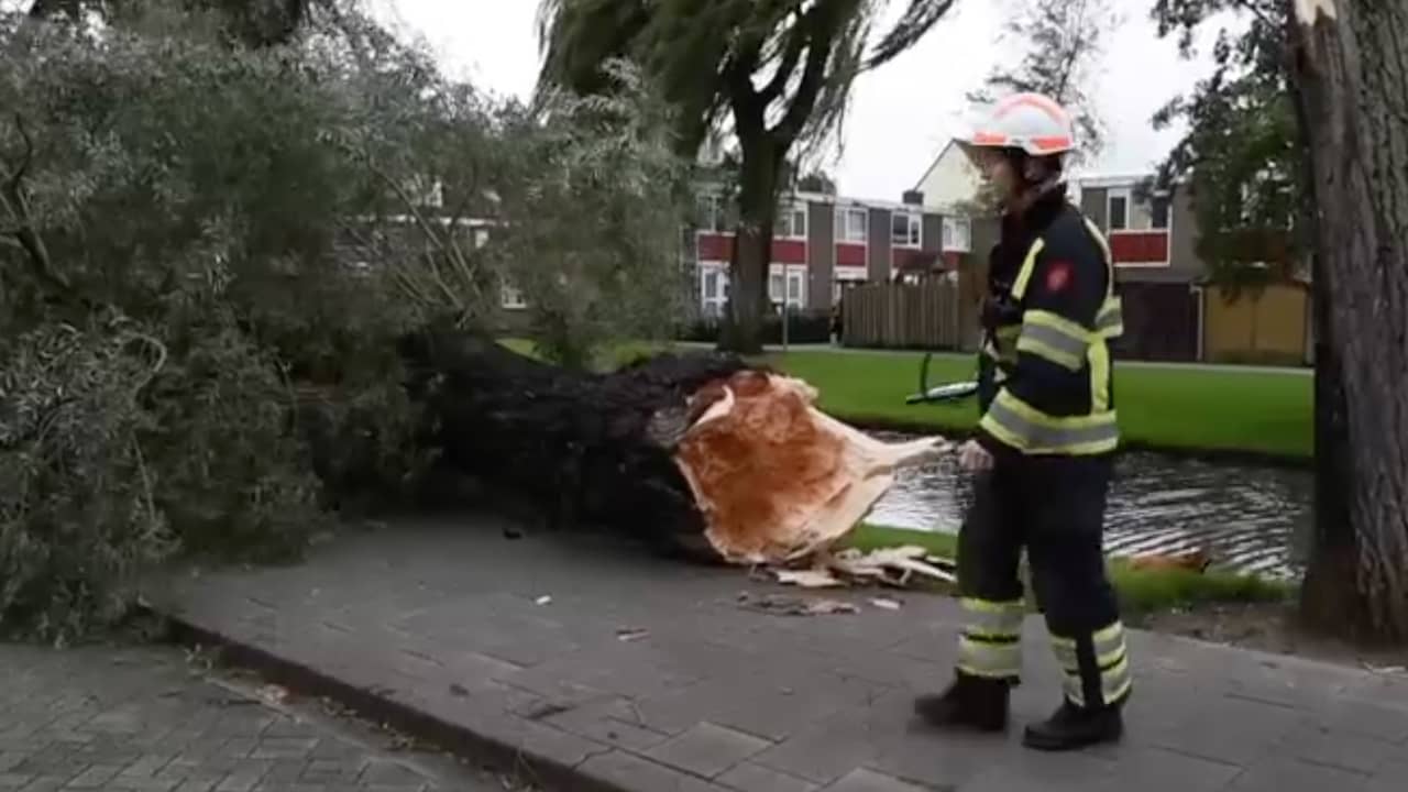 Herfststorm zorgt voor harde windstoten en omgevallen bomen