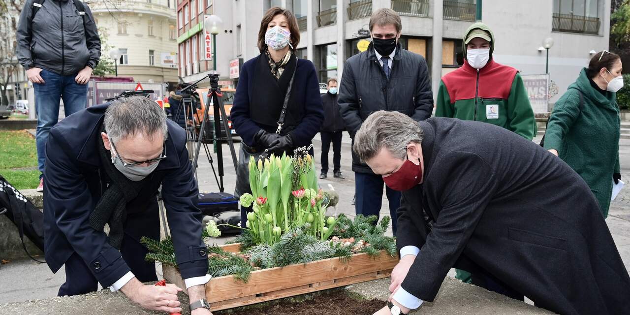 Nederland plant 10.000 tulpenbollen in door terrorisme getroffen stad Wenen