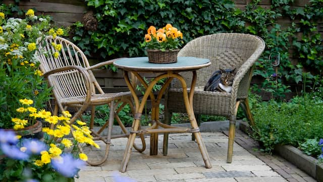 Kies voor veel beplanting rond het terras, zeggen de tuinexperts.