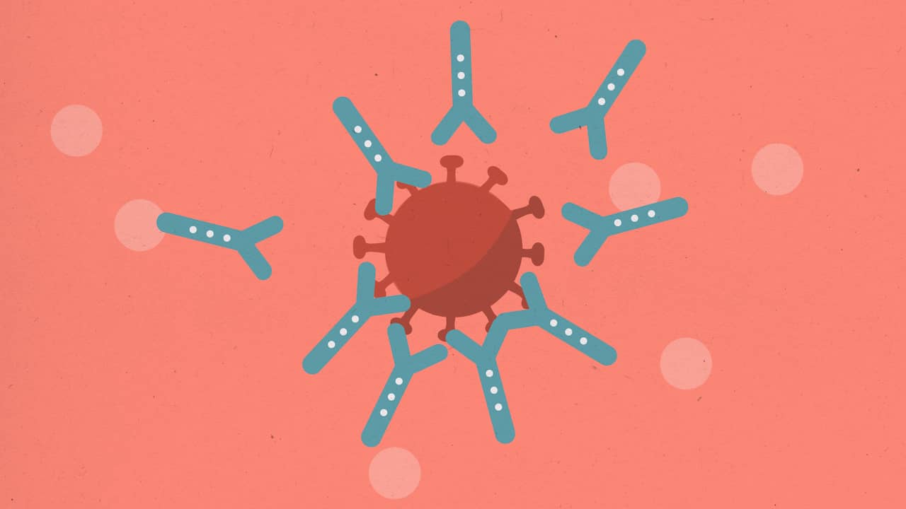 Beeld uit video: Zo moet het Pfizer-vaccin het coronavirus in je lichaam bestrijden