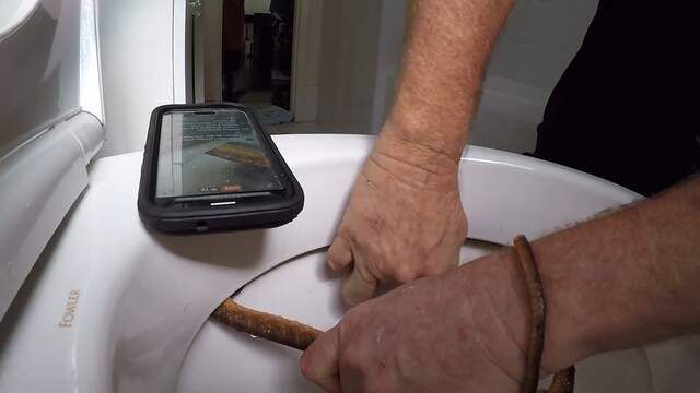 Australisch gezin vindt giftige slang in toiletpot
