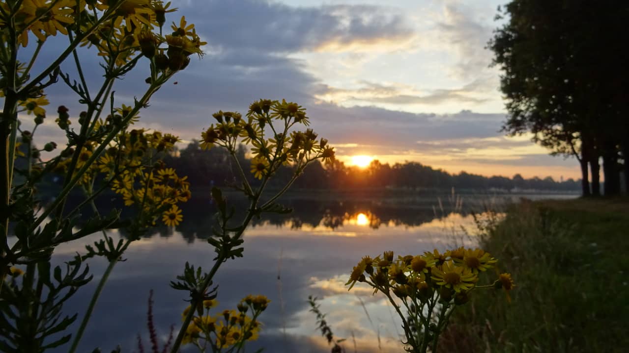 Weather forecast: Clouds and rain in the north, elsewhere it remains dry |  NOW