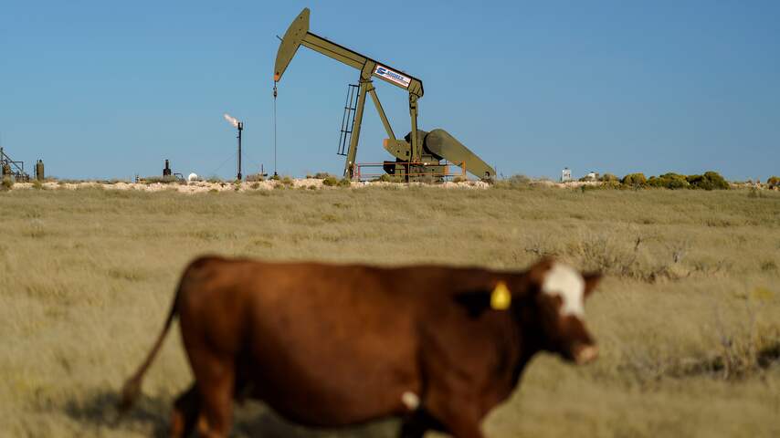 Olieveld fossiele brandstoffen landbouw koe veehouderij