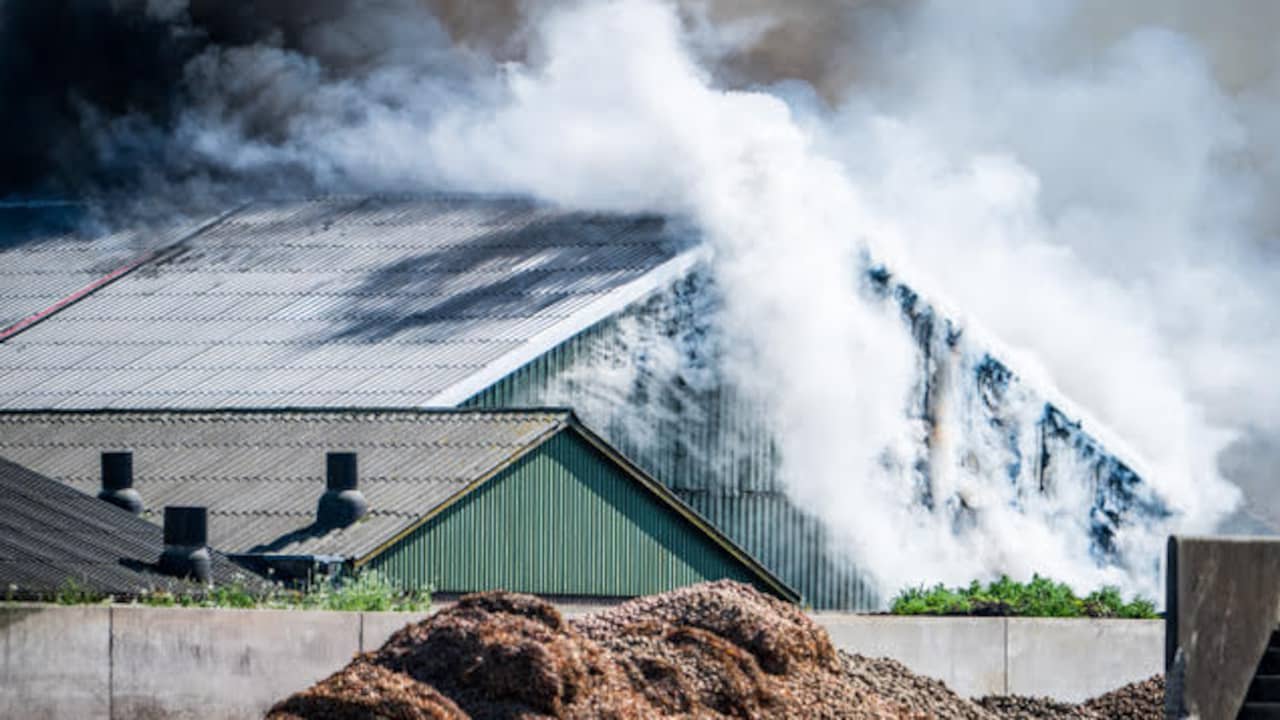 Beeld uit video: Grote rookwolken boven brandende varkensstal in Groningen