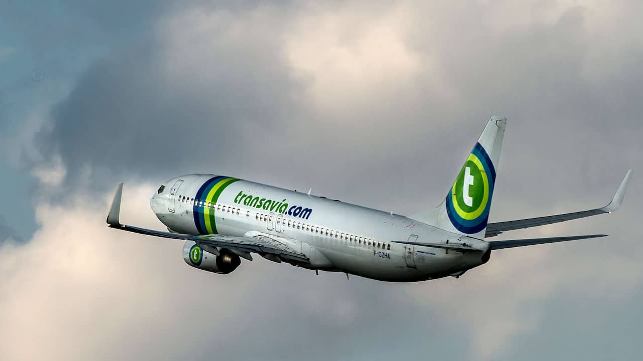 Transavia violates EU rules with alternatives to canceled flights |  NOW