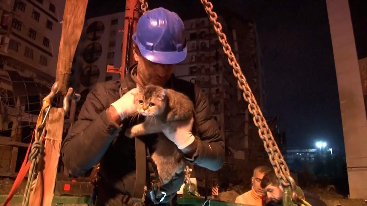 Beeld uit video: Turkse hulpdiensten redden twee katten uit geruïneerd gebouw