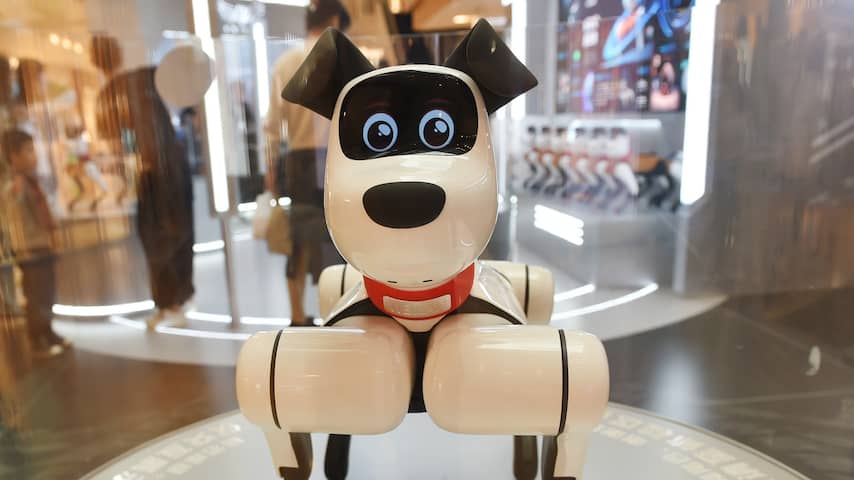 Goed nieuws deze week: Robothond spoort gas op, wereldrecord Friese Flappers