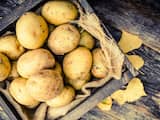 Utrechters mogen zo veel mogelijk aardappels ophalen op Europalaan
