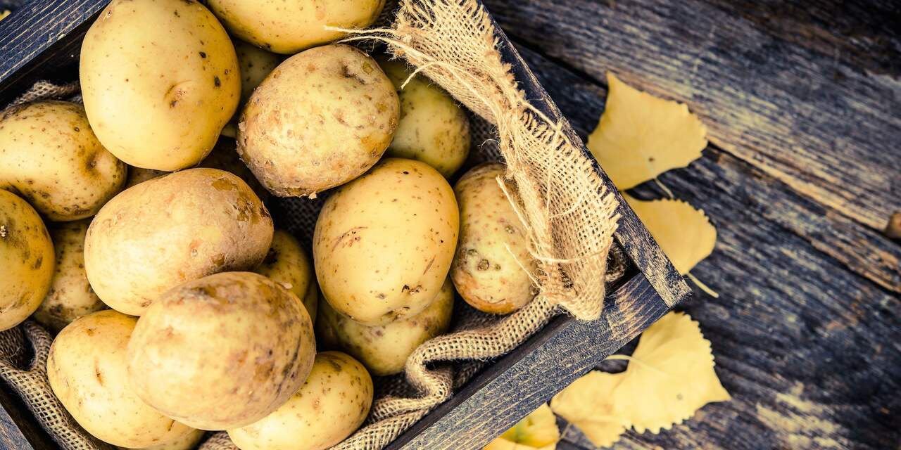 Consumenten kunnen door overschot aardappels inkopen op Campinaterrein
