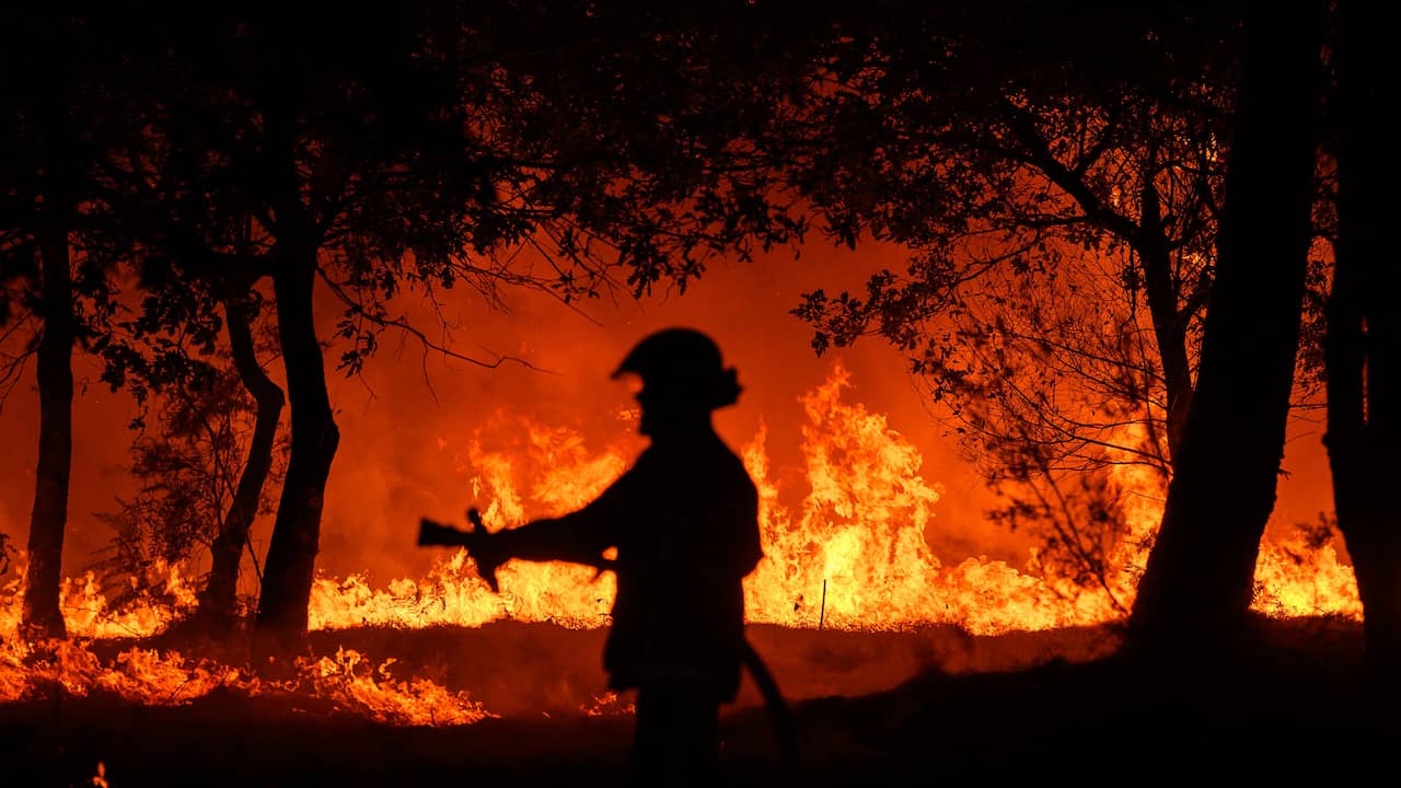 Record heat in southwestern France leads to new fires |  NOW