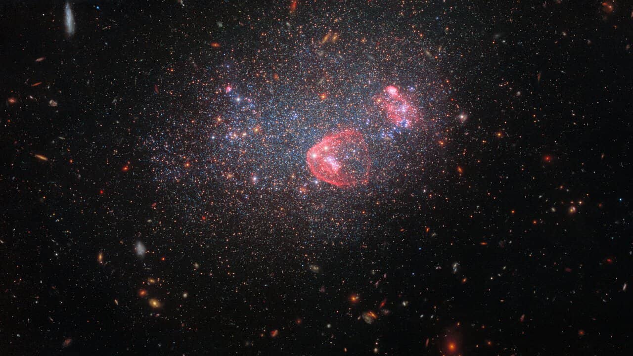 L’Agenzia spaziale europea pubblica l’immagine di una galassia irregolare che ricorda una “palla di neve”.  Scienze